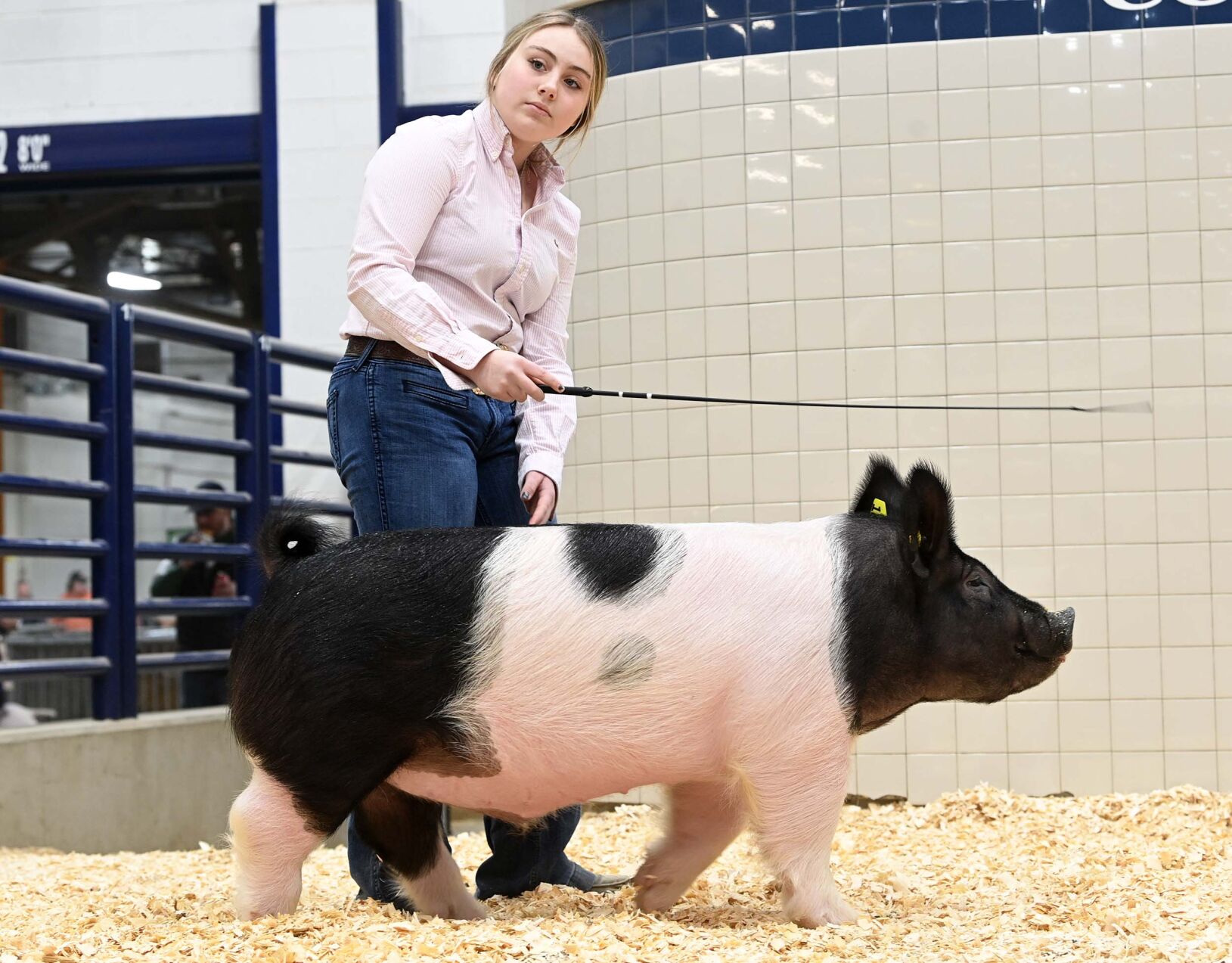 Farm Show PA Tuesday 9.JPG